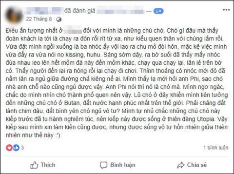 Khách Tây bùng tiền homestay: Thực hư chuyện chó sủa, muỗi đốt-2