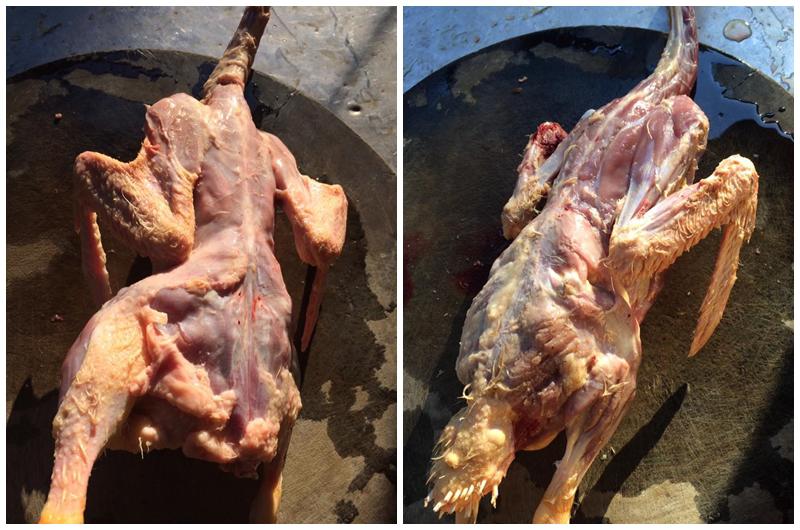 Con dâu cứ nấu ăn thế này sớm muộn cũng được mẹ chồng dắt tay ra khỏi nhà-4