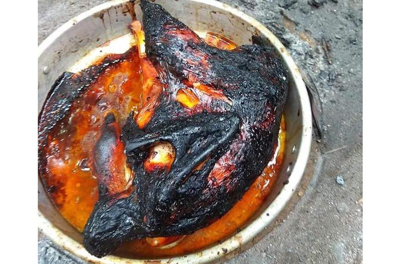 Con dâu cứ nấu ăn thế này sớm muộn cũng được mẹ chồng dắt tay ra khỏi nhà-7