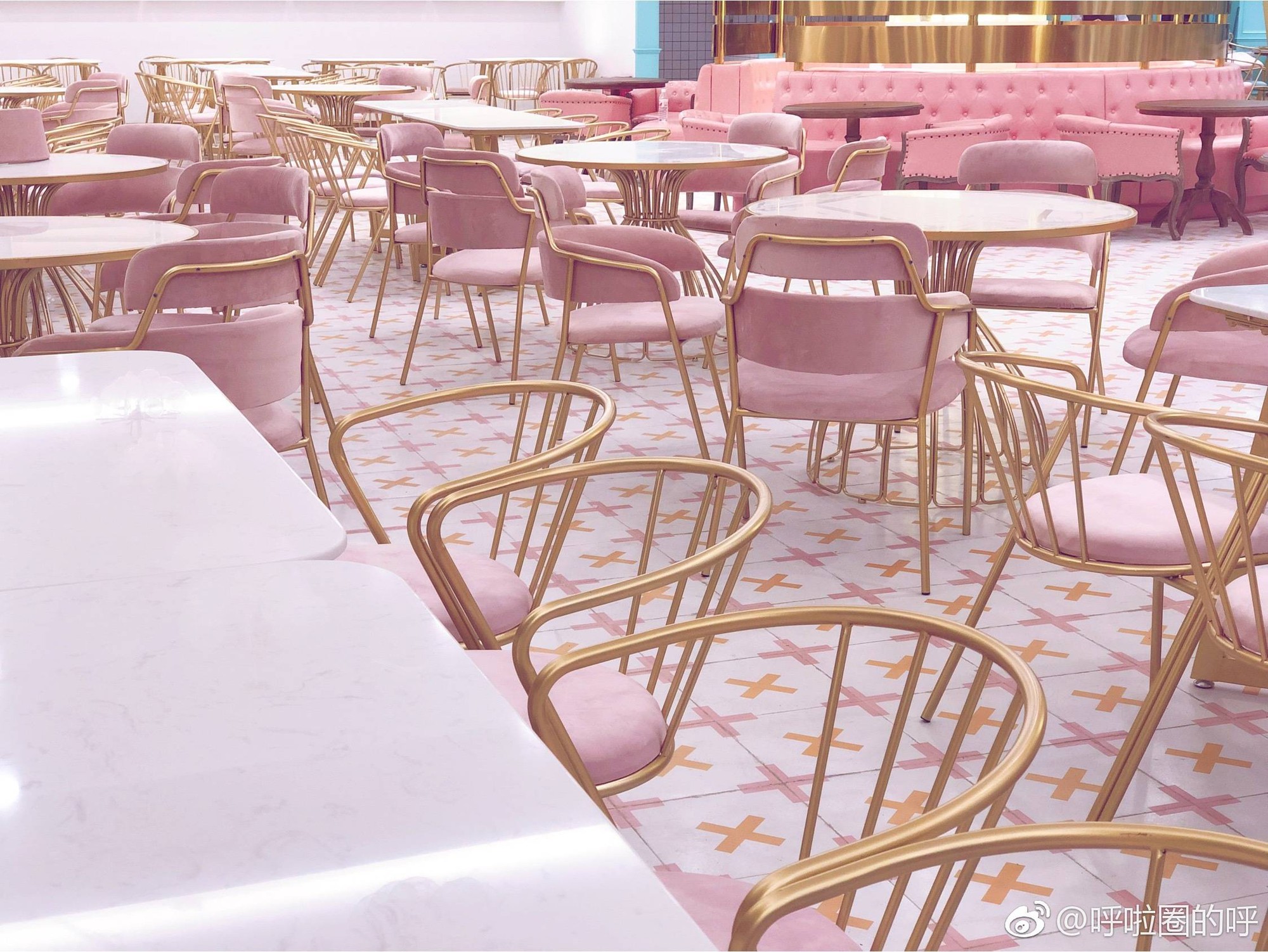 Top căng tin sang như khách sạn 5 sao, cứ tưởng nằm ở trường con nhà giàu, dành cho cậu ấm cô chiêu nhưng sự thật sẽ khiến bạn bất ngờ-5