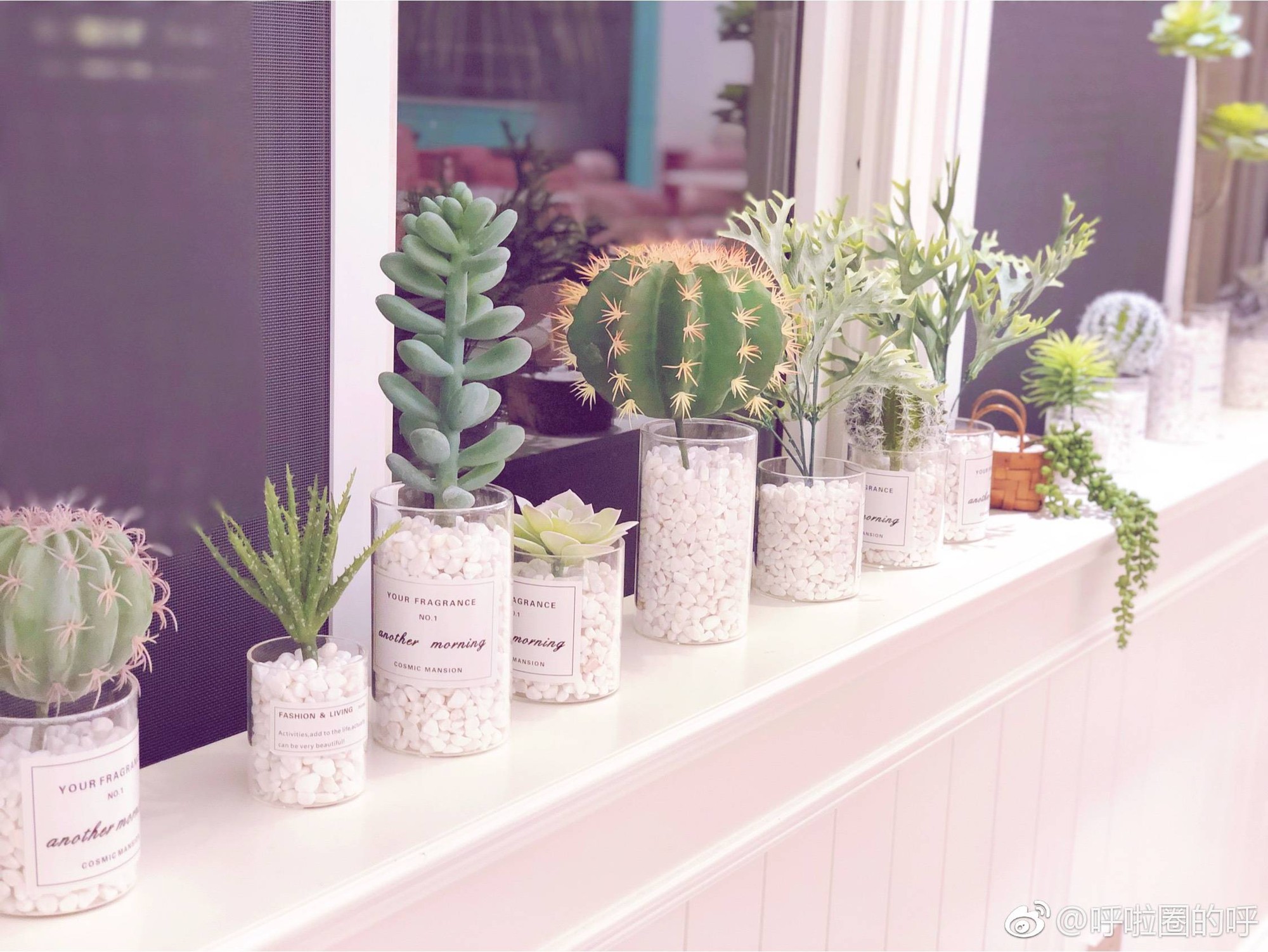 Top căng tin sang như khách sạn 5 sao, cứ tưởng nằm ở trường con nhà giàu, dành cho cậu ấm cô chiêu nhưng sự thật sẽ khiến bạn bất ngờ-8