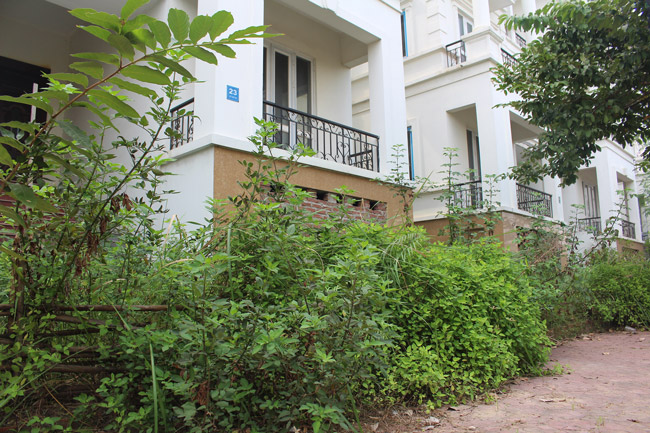 Hoang tàn, lạnh lẽo đến rợn người trong khu đô thị tại thủ đô Hà Nội-10