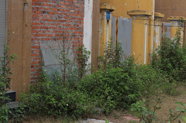 Hoang tàn, lạnh lẽo đến rợn người trong khu đô thị tại thủ đô Hà Nội-12