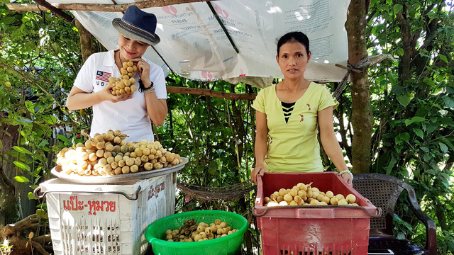 Về thủ phủ lòn bon tiến Vua thưởng thức trái vàng, ngọt, thanh-4