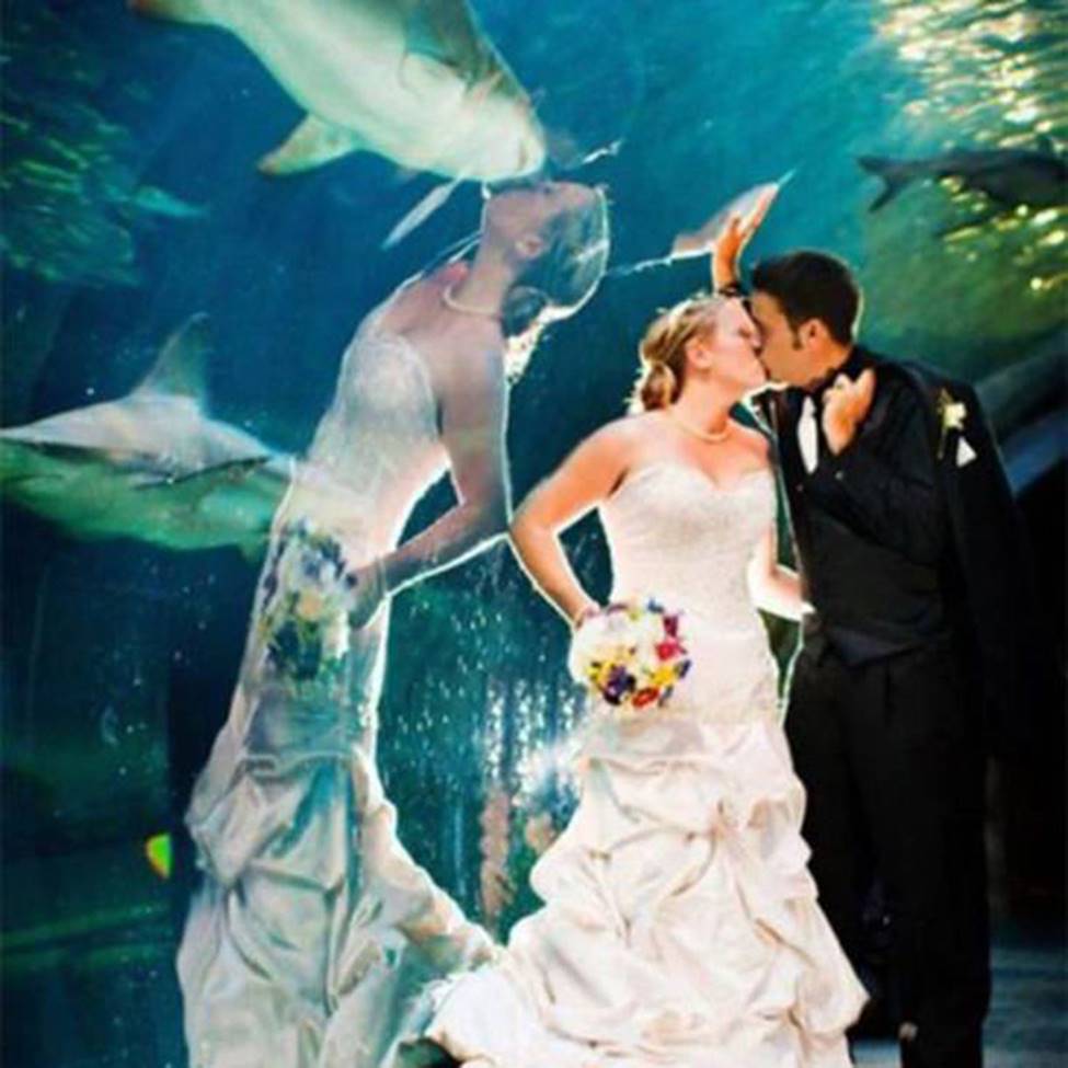 Những hình ảnh dễ khiến chúng ta nhìn gà hóa cuốc-15