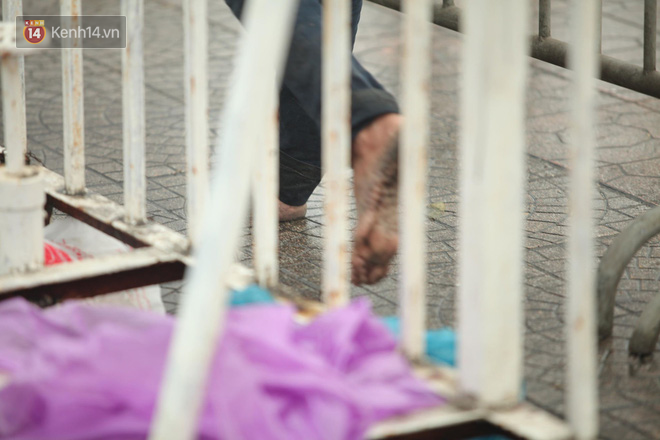 Sáng chủ nhật kinh hoàng: fan mua vé AFF Cup 2018 đẩy đổ hàng rào sân Mỹ Đình-8