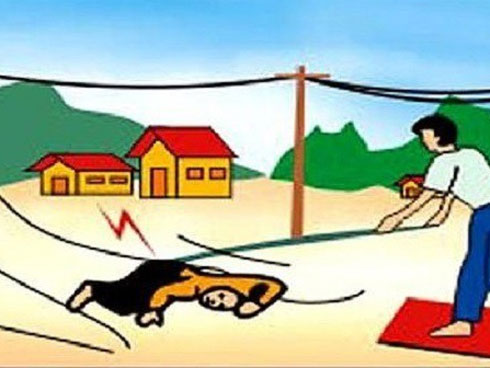 Kỹ năng phòng ngừa tai nạn thương tích mùa mưa bão-3