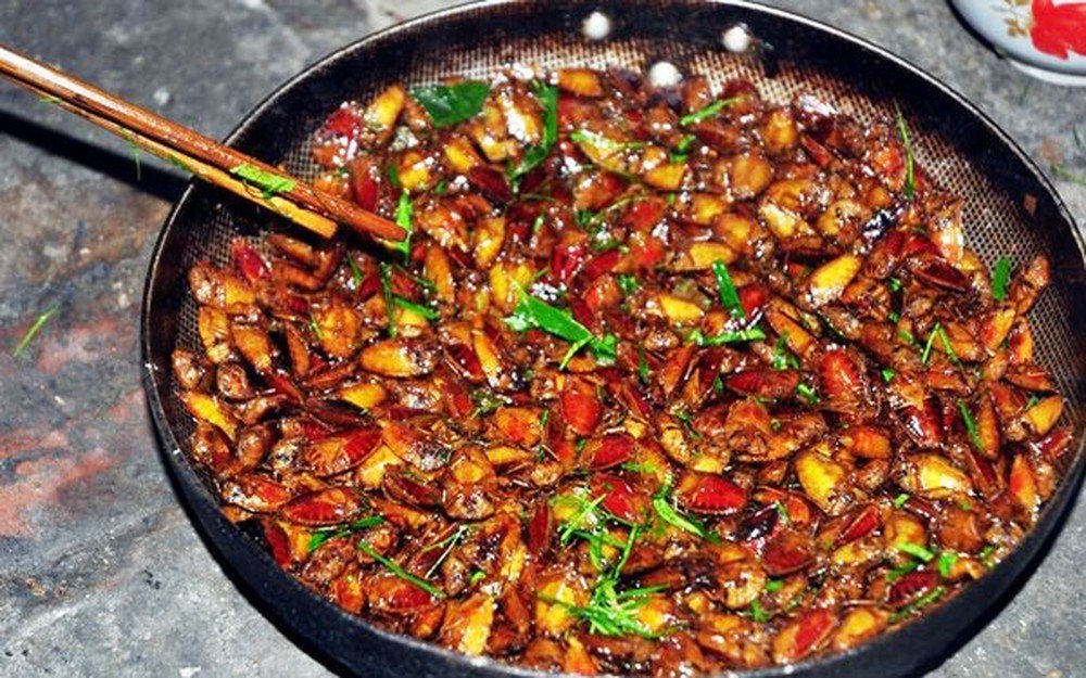 Món ăn đặc sản Việt kinh dị khiến khách Tây... khóc thét-8