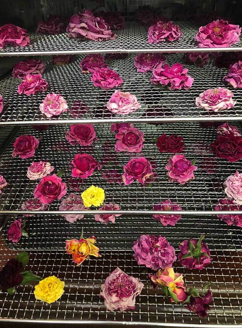 Trà hoa hồng nguyên bông 10 triệu/kg, ông chủ cũng không dám uống nhiều-4