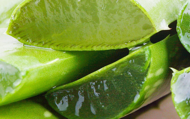 7 công thức với nguyên liệu tự nhiên vừa lành tính lại rẻ như cho giúp chị em sở hữu làn da trắng mịn-4