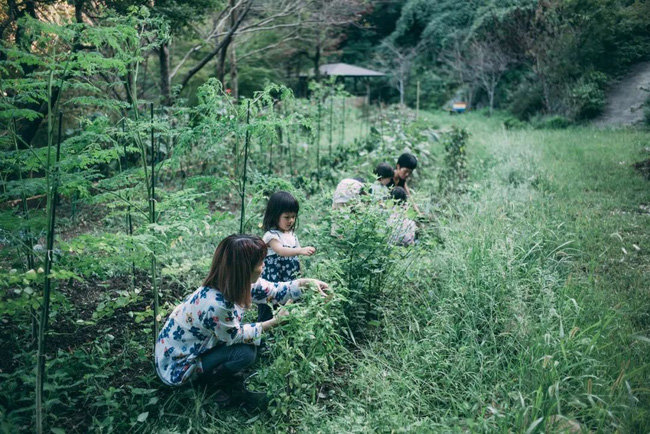 Ngôi nhà yên bình ẩn mình bên núi luôn rộn ràng tiếng cười của người chồng lấy hai vợ và có 6 đứa con ở Nhật-6