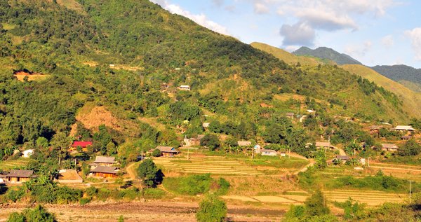 Vùng đất những cây duối cổ quý hiếm, cả làng giữ như giữ vàng-2