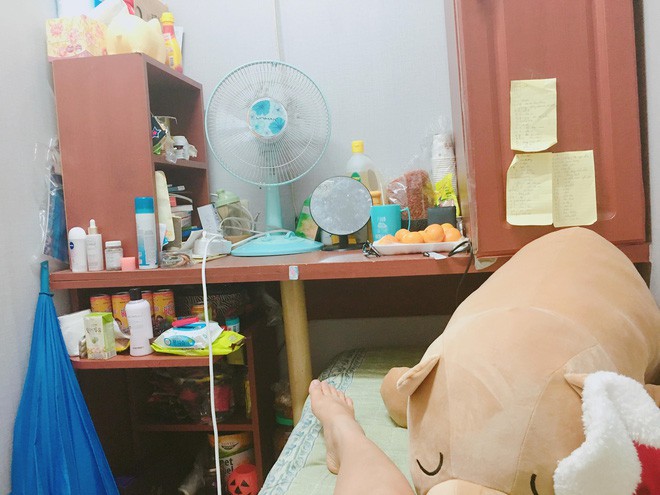 Từ bài phát biểu xót xa của thực tập sinh Nhật, nhìn lại cuộc sống một bộ phận du học sinh Việt: Đêm cặm cụi kiếm tiền, ngày lên lớp ngủ!-4