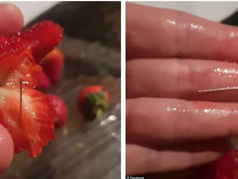 Vụ dâu tây kim khâu: Tòa kịch liệt phản đối đơn bảo lãnh vì lo ngại nghi phạm gốc Việt bị trả thù-1