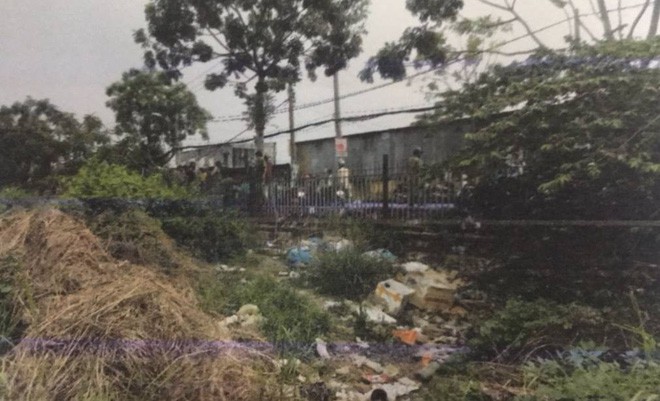 Công an kêu gọi tìm kiếm nhân chứng vụ thi thể trẻ sơ sinh bị heo rừng tha đi ở Sài Gòn-1