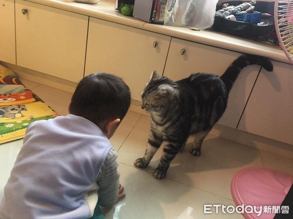 Bé trai 2 tuổi chỉ nặng 6kg bị bỏ đói đến chết trong nhà vệ sinh, bà mẹ trẻ lập tức bị bắt giữ vì sự thật gây phẫn nộ-5