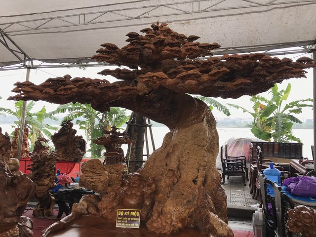 Choáng ngợp bộ ghế Kỳ Mộc tứ linh 3,8 tỷ đắt ngang 1 căn nhà-7