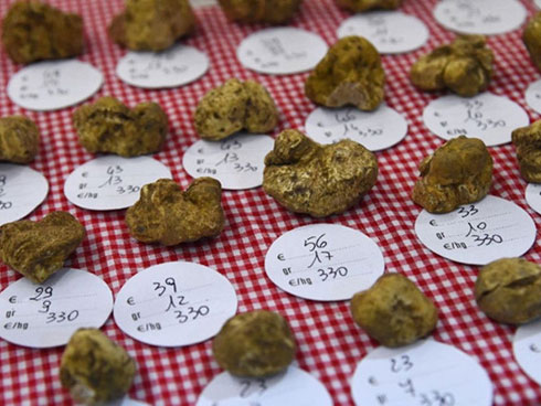 Truffle - loại nấm đắt nhất thế giới, thần dược phòng the, kim cương đen của nền ẩm thực: 140 triệu/kg-8