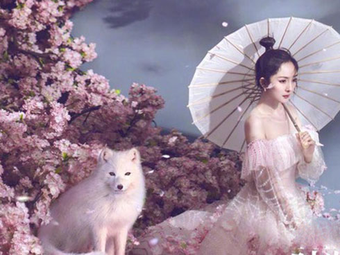 Năm 2019 mở ra một năm rực rỡ huy hoàng cho 4 cung Hoàng đạo sau, cầu tài có tài, cầu tình có tình, vạn sự như ý-5