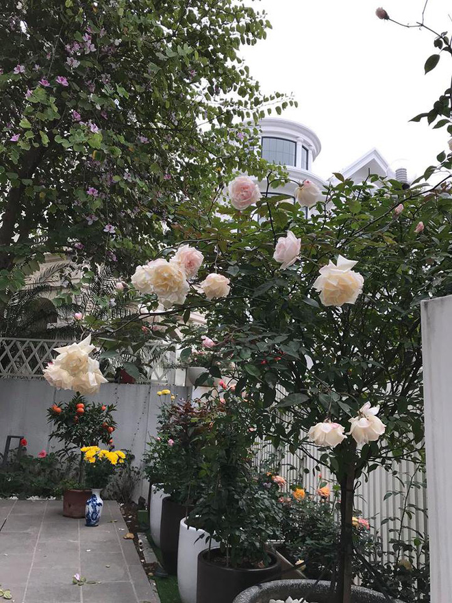 Cận cảnh biệt thự sang trọng của ca sỹ Mỹ Dung và chồng đại gia-9