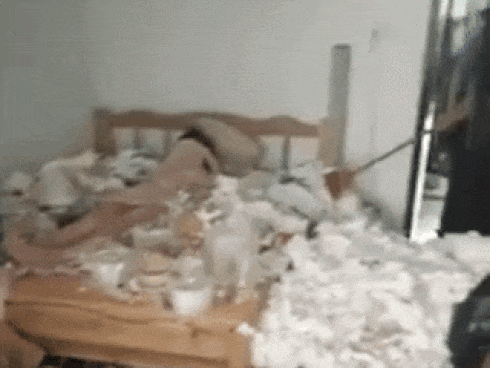 Để nấm mọc đầy trên chổi lau sàn, gia chủ bị dân mạng hỏi khó: Nhà này bao lâu chưa lau?-7