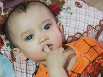 "Em quỳ gối xin mọi người hãy cứu lấy Gia Anh, không được ghép giác mạc con em sẽ mù vĩnh viễn" "Em quỳ gối xin mọi người hãy cứu lấy Gia Anh, không được ghép giác mạc con em sẽ mù vĩnh viễn"