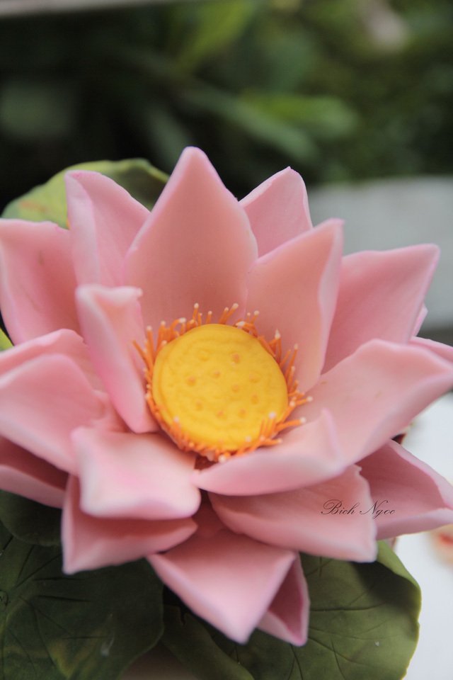 Phát sốt với 2 triệu đồng chiếc bánh sen VIP vẽ chân dung-2