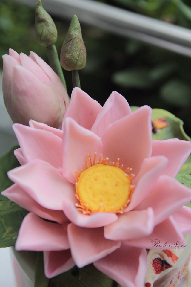 Phát sốt với 2 triệu đồng chiếc bánh sen VIP vẽ chân dung-5