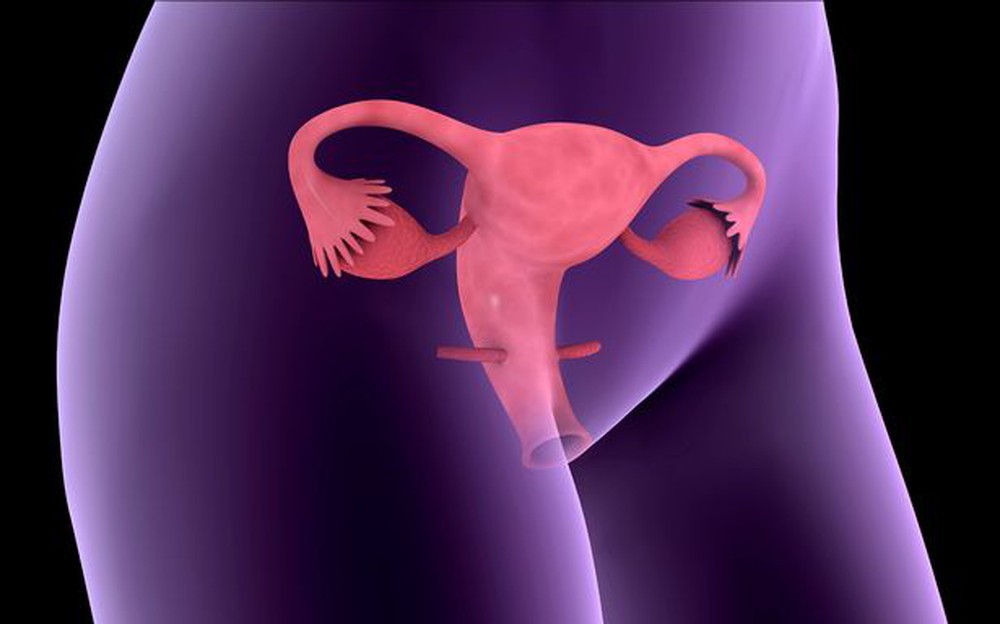 Con gái nên cẩn thận nếu thấy vùng ngực xuất hiện dấu hiệu này, bởi nó có thể cảnh báo 2 hội chứng nghiêm trọng đang tiềm ẩn trong cơ thể-2