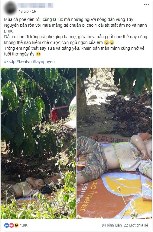 Hình ảnh cậu bé bụ bẫm nằm ngủ dưới gốc cây cà phê khi theo bố mẹ lên rẫy đốn tim cộng đồng mạng vì quá sức dễ thương-1