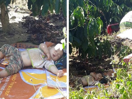 Hình ảnh cậu bé bụ bẫm nằm ngủ dưới gốc cây cà phê khi theo bố mẹ lên rẫy 