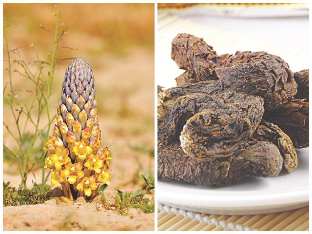 Món cháo thần dược khiến Võ Tắc Thiên 80 tuổi vẫn sung mãn, không đêm nào ngủ thiếu đàn ông-3