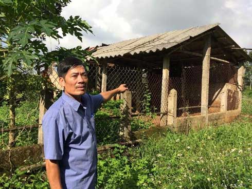 Vụ án oan rúng động nhất lịch sử nước Mỹ: Bác sĩ tài giỏi bị nghi giết vợ rồi lĩnh án chung thân, ăn cơm tù 10 năm bỗng được tuyên trắng án-7