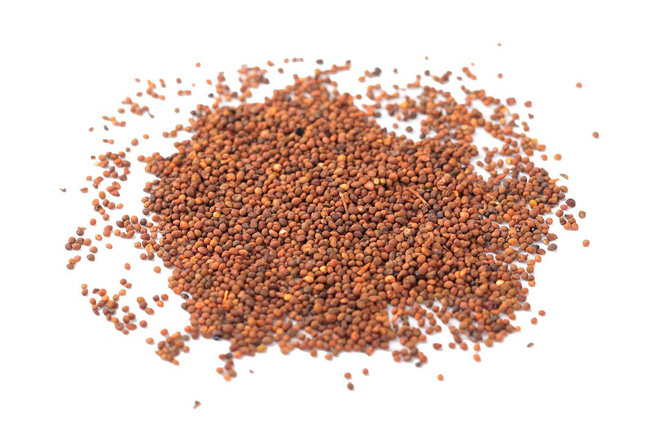 Đông y xem đây là 5 loại dược trà một công đôi việc: Nam giới càng uống càng khỏe ra-7