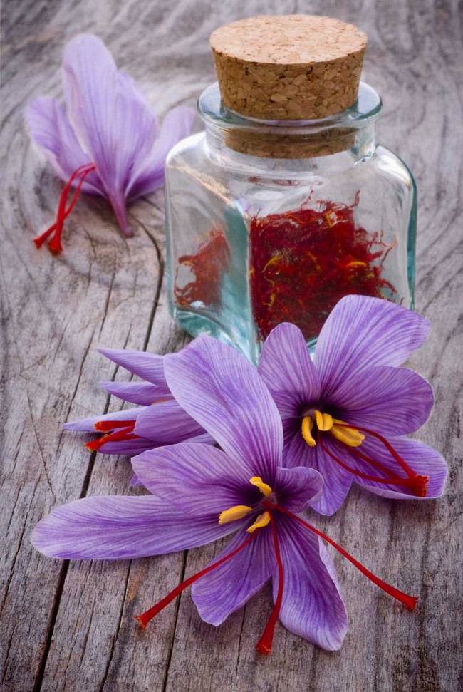 Bí mật thú vị của saffron - gia vị đắt nhất thế giới gần 1 tỷ/kg từng được Nữ hoàng Ai Cập dùng dưỡng nhan-8