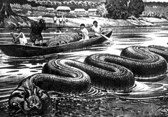 Những bí ẩn trong rừng rậm Amazone đến nay vẫn chưa được giải đáp-5