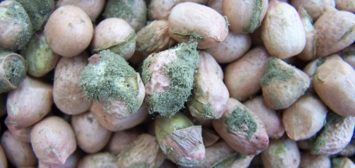 Loại chất độc gây ung thư trong bếp mọi gia đình, bạn có biết để loại bỏ?-3