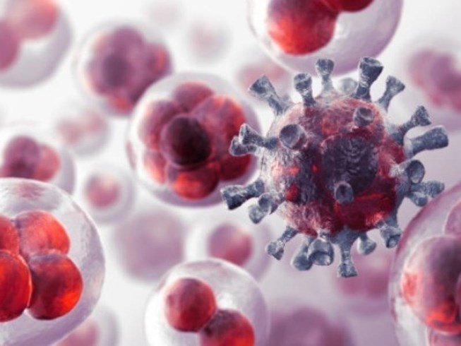 Loại chất độc gây ung thư trong bếp mọi gia đình, bạn có biết để loại bỏ?-2