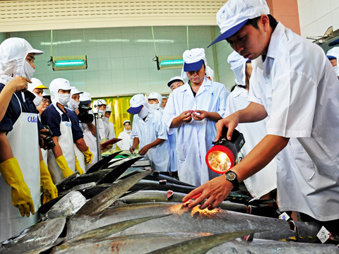 Doanh nghiệp kêu cứu vì container hải sản bị tắc ở cảng suốt nửa tháng-2