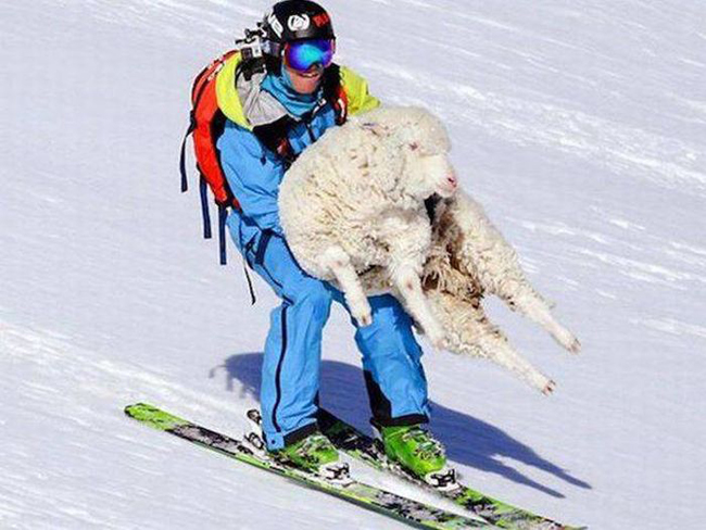 Khoảnh khắc cười rơi nước mắt với con người kỳ quặc-5