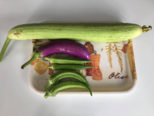 Vườn rau xanh tươi mơn mởn trong biệt thự tiền tỷ do chồng Ốc Thanh Vân trồng tặng 4 mẹ con-17