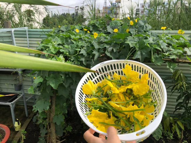 Vườn rau xanh tươi mơn mởn trong biệt thự tiền tỷ do chồng Ốc Thanh Vân trồng tặng 4 mẹ con-16