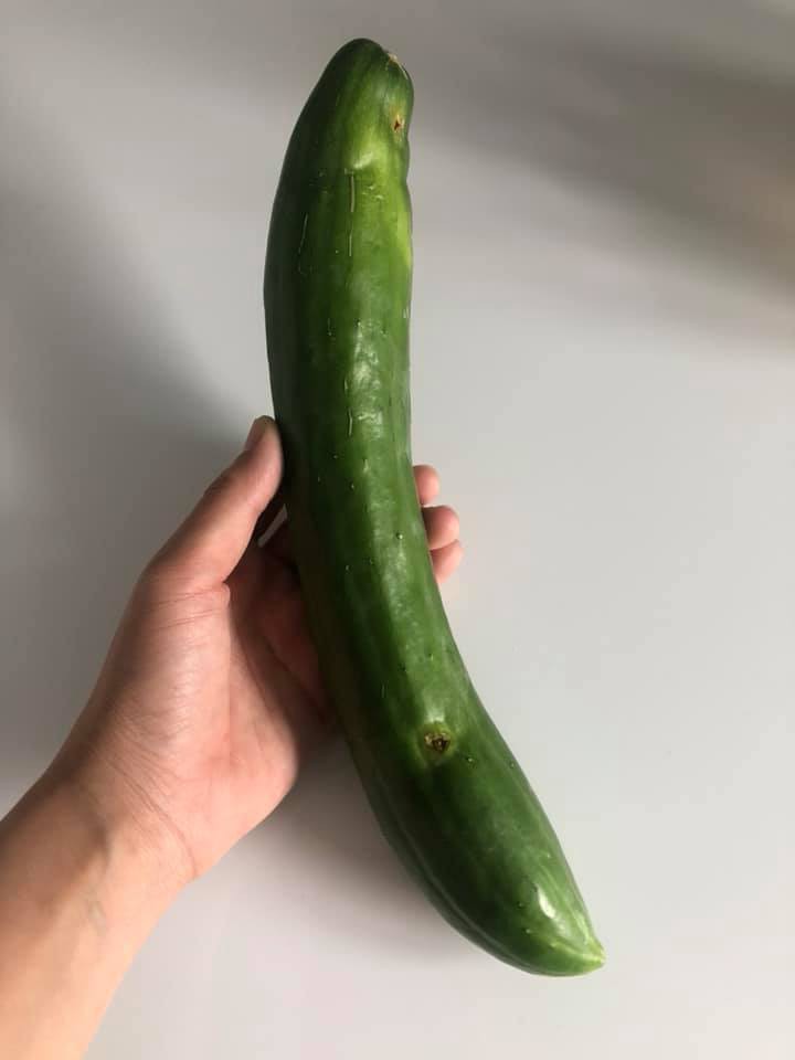 Vườn rau xanh tươi mơn mởn trong biệt thự tiền tỷ do chồng Ốc Thanh Vân trồng tặng 4 mẹ con-13