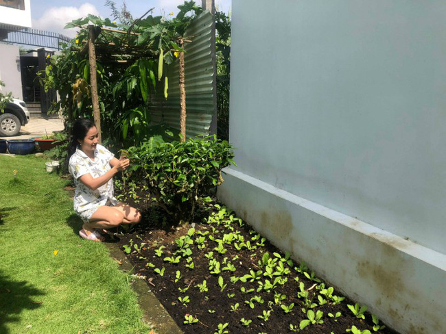 Vườn rau xanh tươi mơn mởn trong biệt thự tiền tỷ do chồng Ốc Thanh Vân trồng tặng 4 mẹ con-3