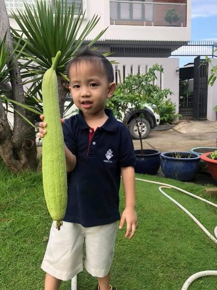 Vườn rau xanh tươi mơn mởn trong biệt thự tiền tỷ do chồng Ốc Thanh Vân trồng tặng 4 mẹ con-10