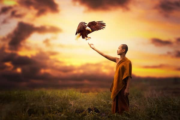 Học một điều này thôi có thể sinh trăm phúc, nghênh vạn lành-1