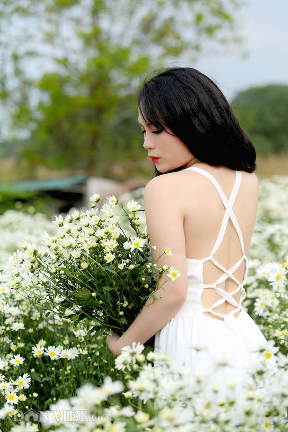 Phía sau những bức ảnh cúc họa mi đẹp là... cả dàn bắn tỉa có tâm-2