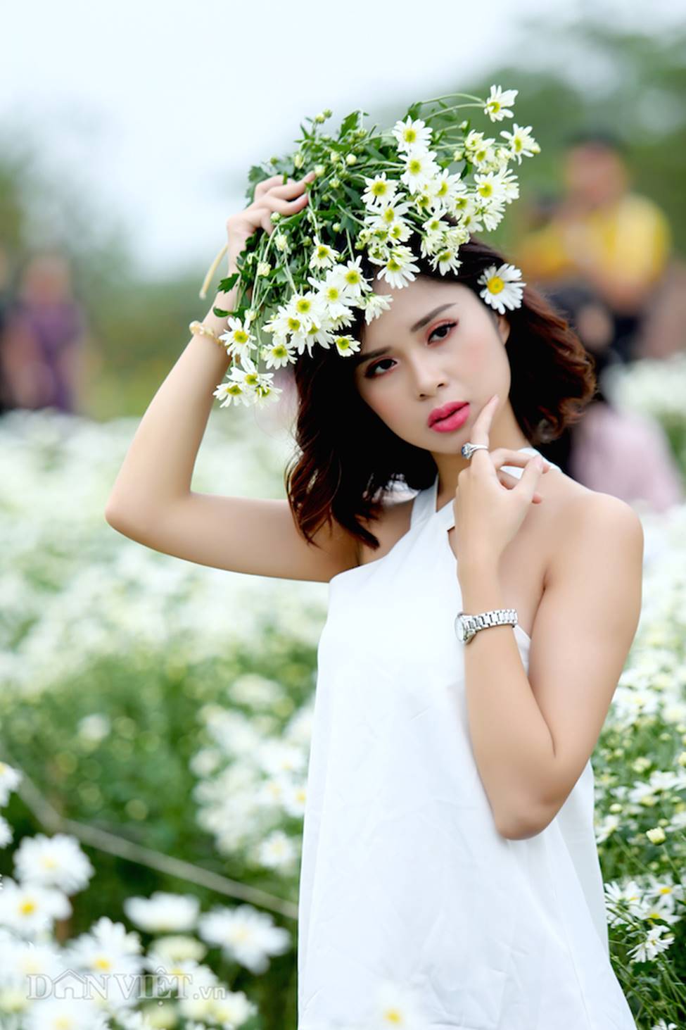 Phía sau những bức ảnh cúc họa mi đẹp là... cả dàn bắn tỉa có tâm-4