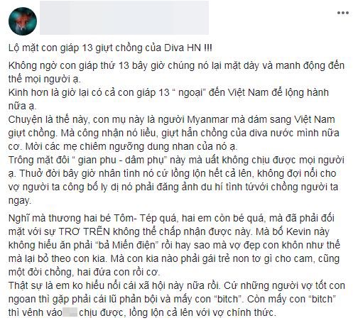 Xôn xao thông tin diva Hồng Nhung bị một người phụ nữ Myanmar giật chồng dẫn tới ly hôn-2