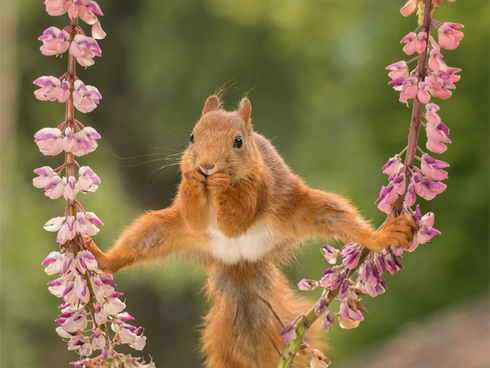 Tác phẩm của người Việt lọt top ảnh ấn tượng trong cuộc thi nổi tiếng nhất thế giới-21